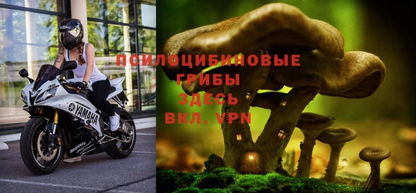 ГАЛЛЮЦИНОГЕННЫЕ ГРИБЫ Аркадак
