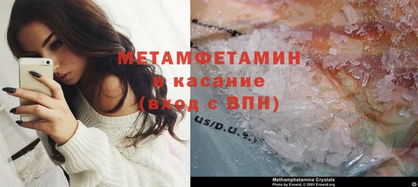 ГАЛЛЮЦИНОГЕННЫЕ ГРИБЫ Аркадак