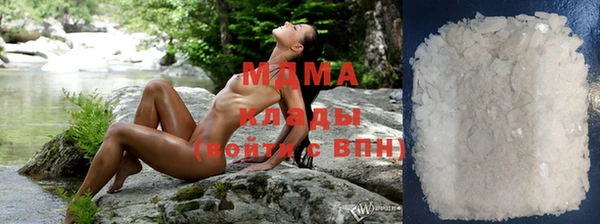 ГАЛЛЮЦИНОГЕННЫЕ ГРИБЫ Аркадак