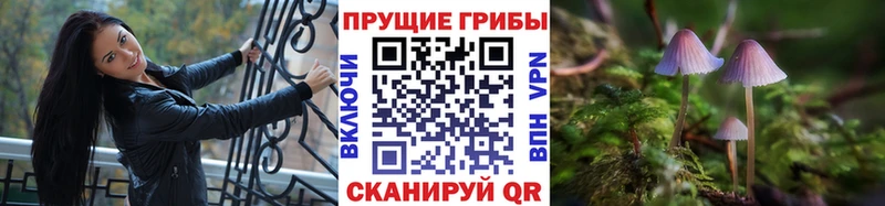 Галлюциногенные грибы ЛСД  Купить закладки  Петрозаводск 